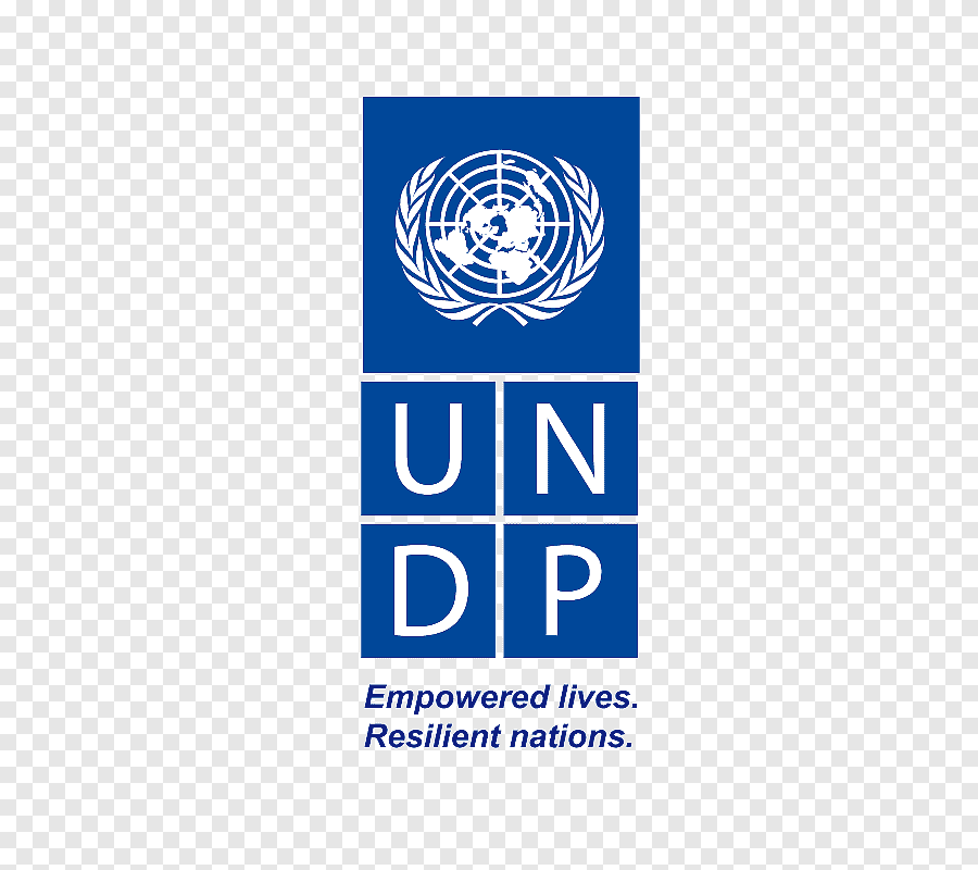 PNUD logo